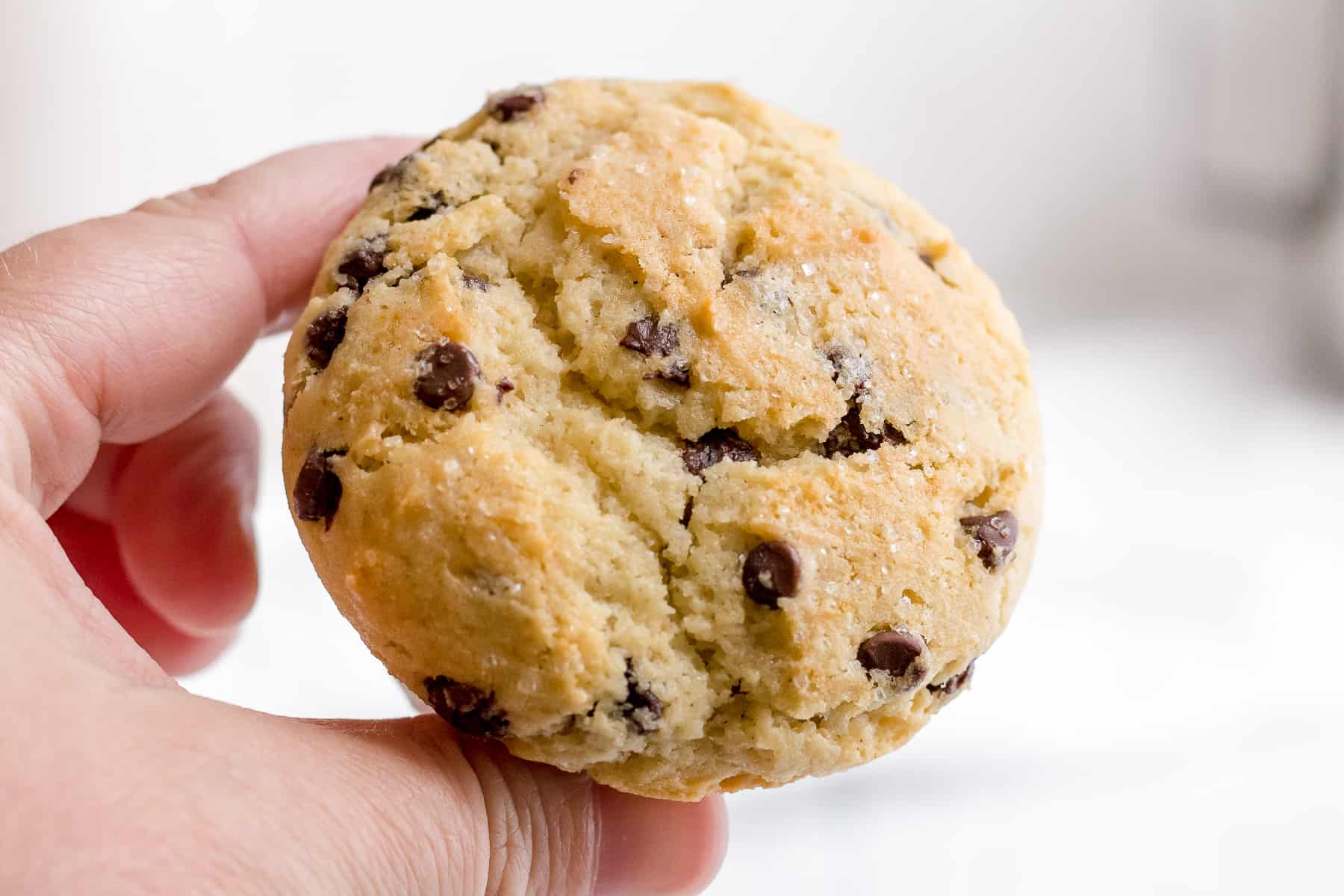 hand holding a gluten free chocolate chip muffin