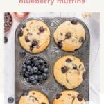 blueberry chocolate chip muffins in muffin tin.
