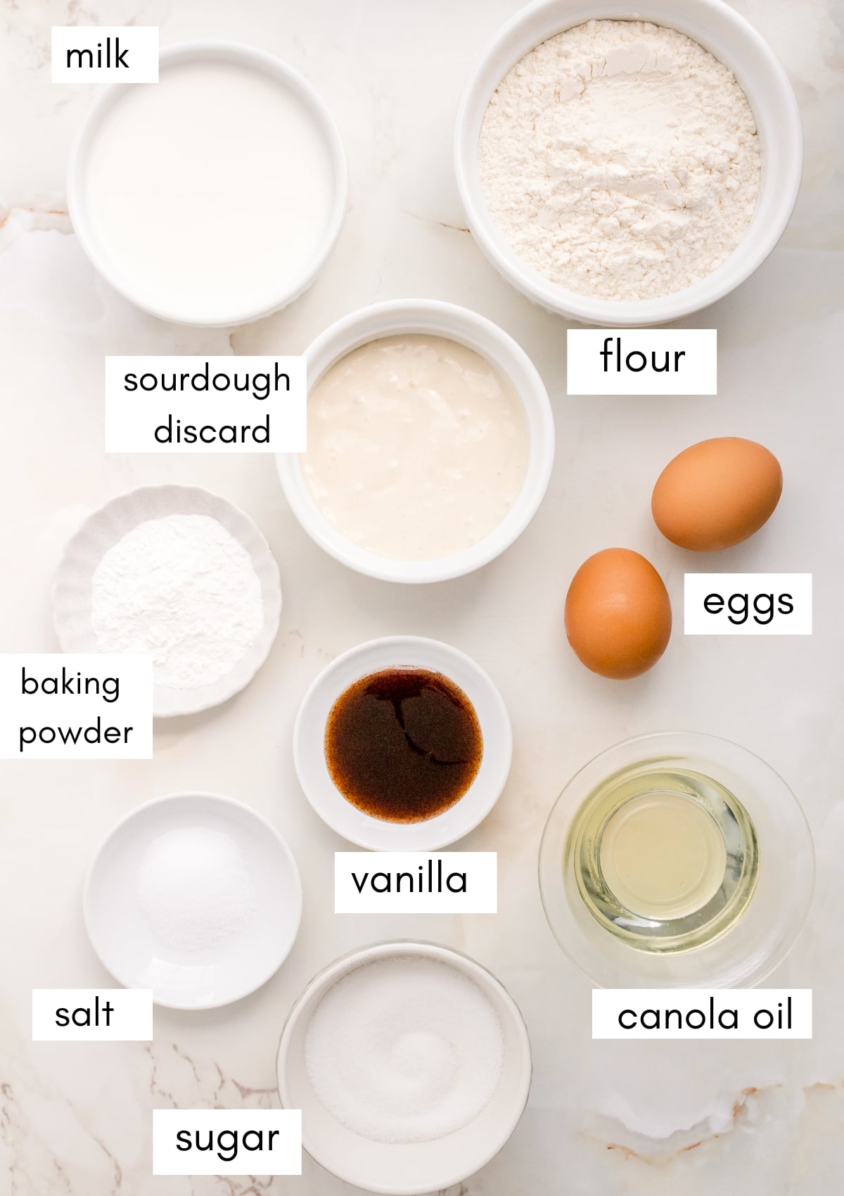 labeled ingredients for sourdough discard waffles on white background.