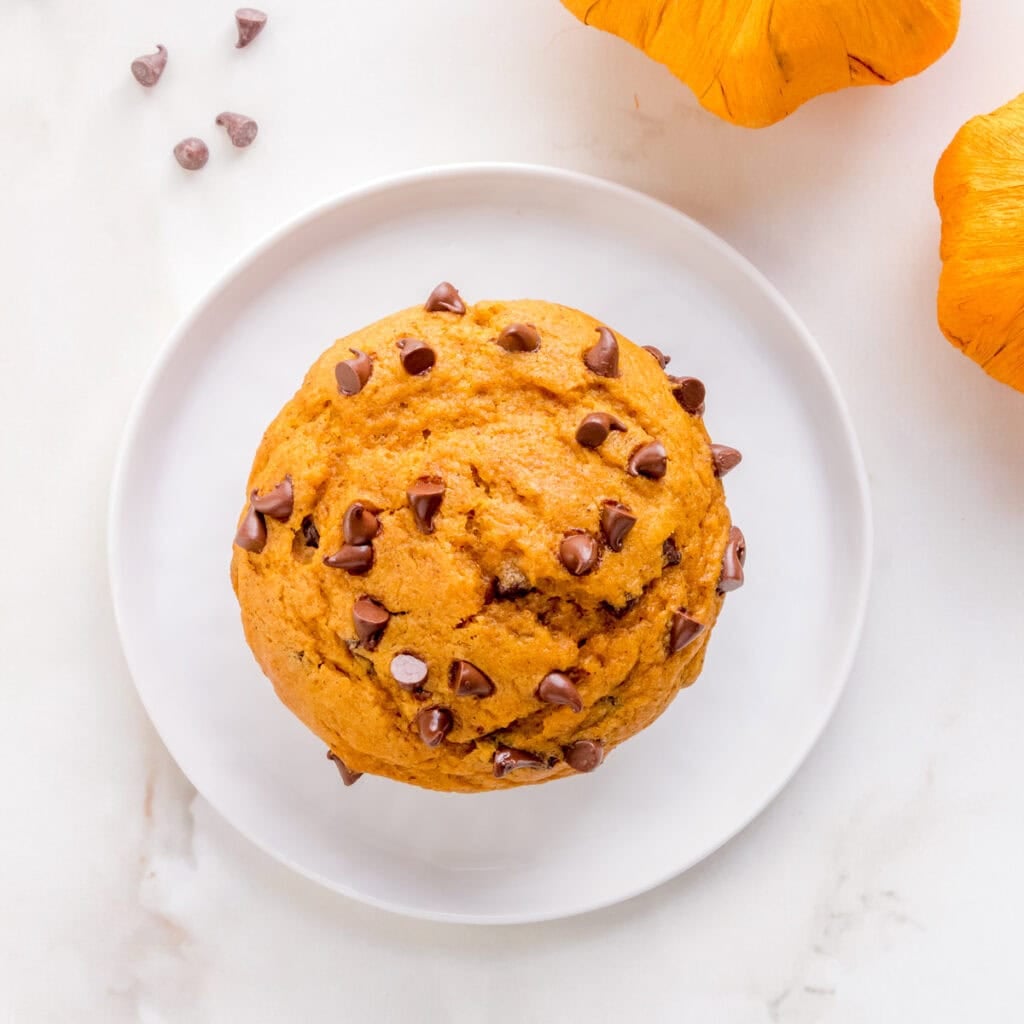 a pumpkin chocolate chip muffin on a small white plate with pumpkins in the background.