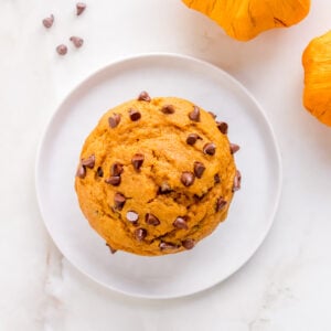 a pumpkin chocolate chip muffin on a small white plate with pumpkins in the background.