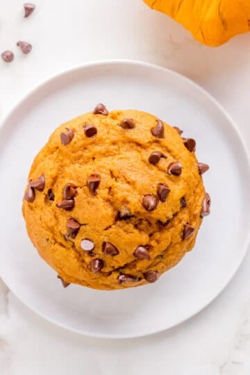 a pumpkin chocolate chip muffin on a small white plate with pumpkins in the background.